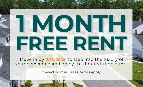 image for /shared/images/new-river-forest-popup-d4muixlz.png