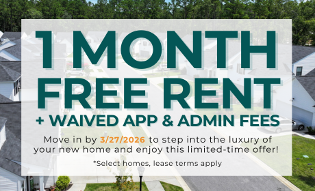 image for /shared/images/new-river-forest-popup-gc2n4ryk.png