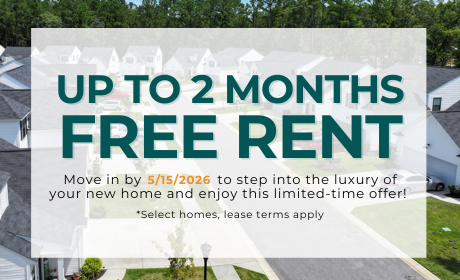 image for /shared/images/new-river-forest-popup-n4tfju3r.png