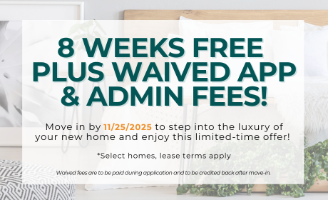 image for /shared/images/new-river-forest-popup-oizqgah3.png