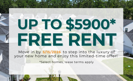 image for /shared/images/new-river-forest-popup-s1cj5jed.png