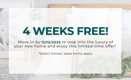 image for /shared/images/new-river-forest-popup-y33u0kdy.png